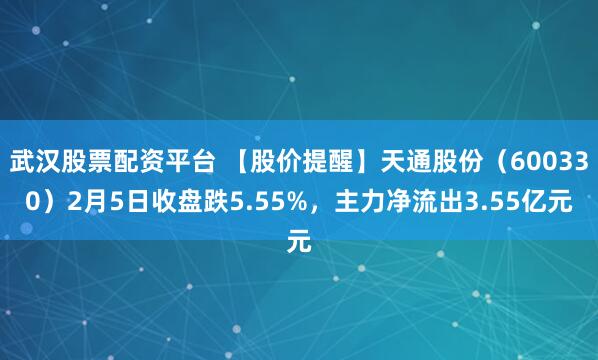 武汉股票配资平台 【股价提醒】天通股份（600330）2月5日收盘跌5.55%，主力净流出3.55亿元